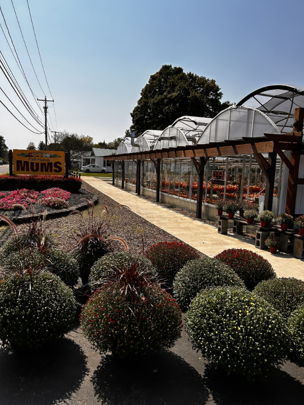 Pleasant-Valley-Greenhouse-front